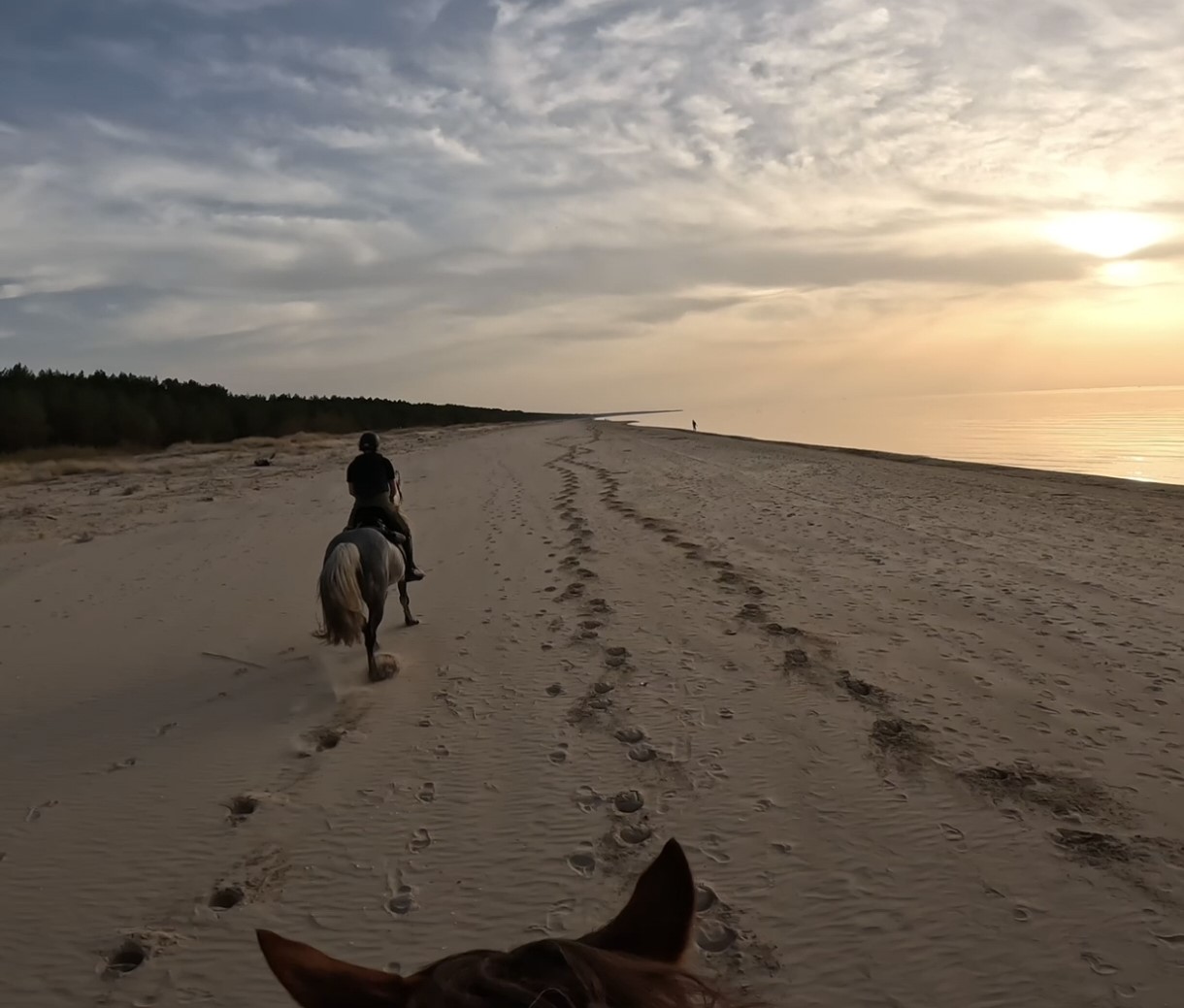 Basiscursus Paardkunst Piejūra Riga - Letland - Afbeelding 3