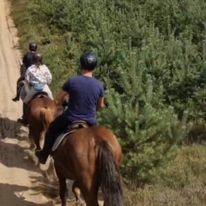 Basiscursus Paardkunst Piejūra Riga - Letland - Afbeelding 4