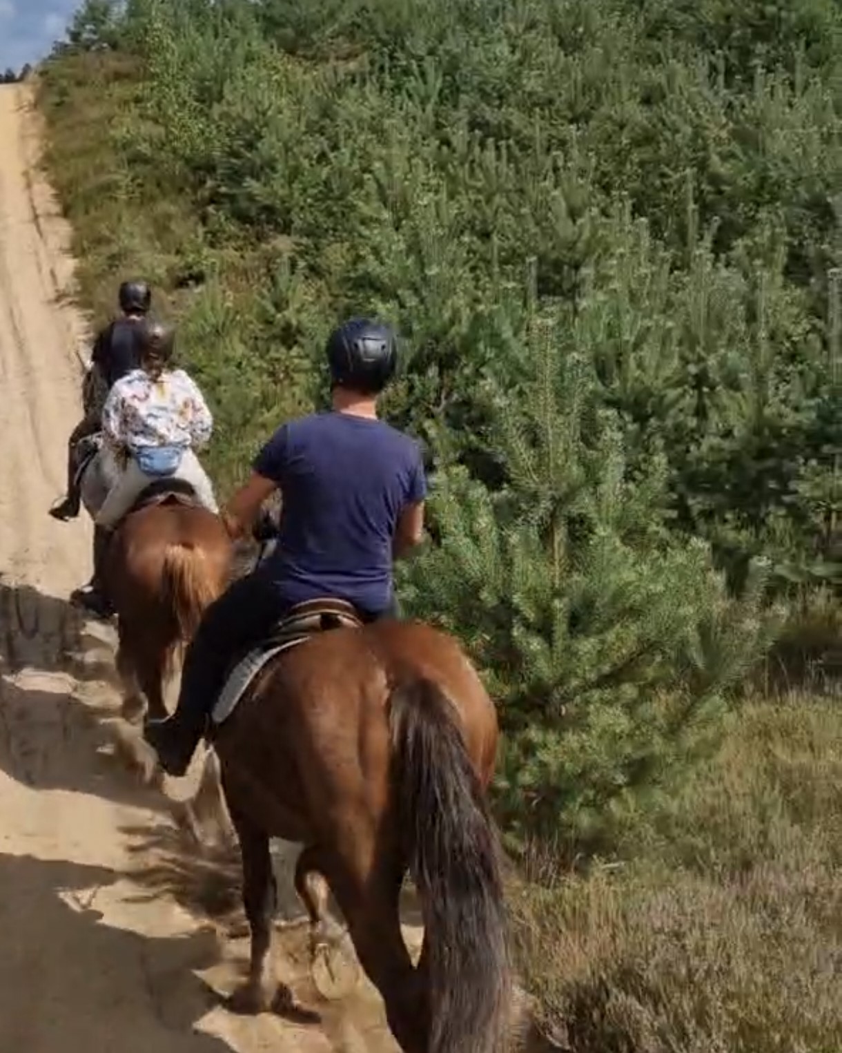 Basiscursus Paardkunst Piejūra Riga - Letland - Afbeelding 4