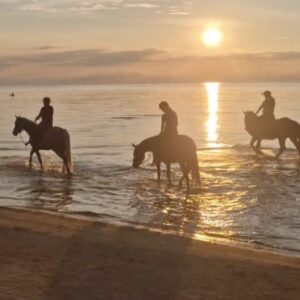 3-daagse paardrijtocht Zee & Bos Avontuur Riga - Letland