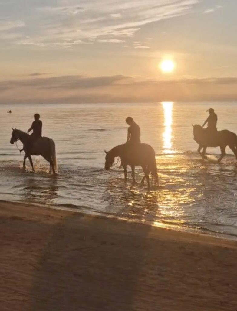 3-daagse paardrijtocht Zee & Bos Avontuur Riga - Letland