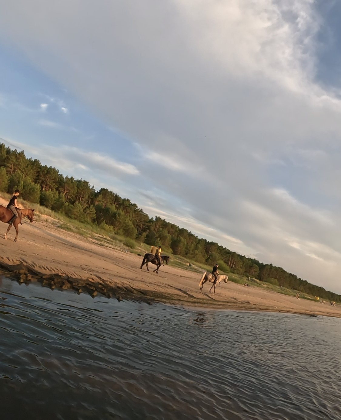Basiscursus Paardkunst Piejūra Riga - Letland - Afbeelding 5