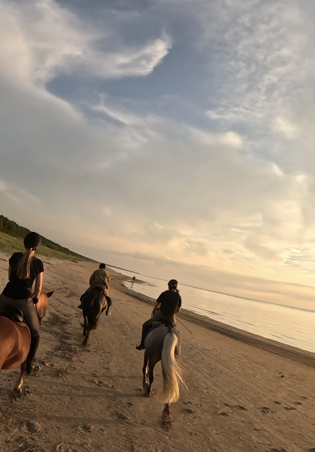 Basiscursus Paardkunst Piejūra Riga - Letland - Afbeelding 6