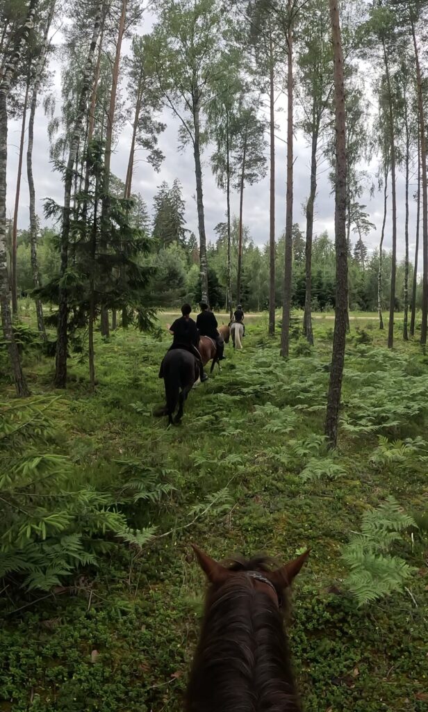 Basiscursus Paardkunst Piejūra Riga - Letland