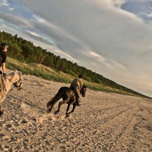 Basiscursus Paardkunst Piejūra Riga - Letland - Afbeelding 8