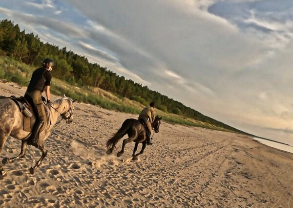 Basiscursus Paardkunst Piejūra Riga - Letland