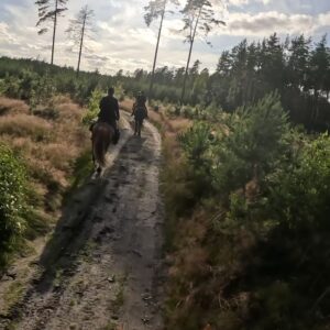 Basiscursus Paardkunst Piejūra Riga - Letland - Afbeelding 10