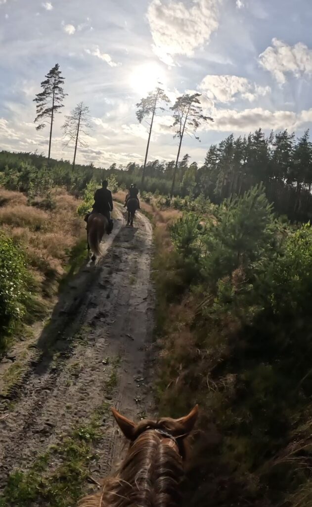 Basiscursus Paardkunst Piejūra Riga - Letland