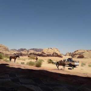 Buitenrit Khazali-kloof Wadi Rum - Jordanië - Afbeelding 4