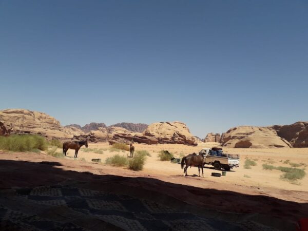 Buitenrit Khazali-kloof Wadi Rum - Jordanië