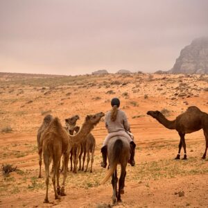 Dagrit Wadi Rum - Jordanië - Afbeelding 9