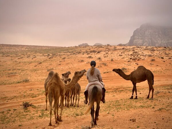 Dagrit Wadi Rum - Jordanië