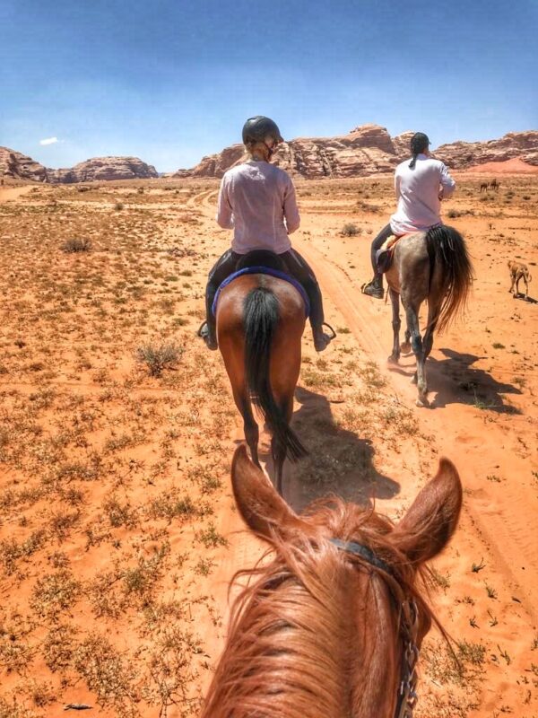 Dagrit Wadi Rum - Jordanië