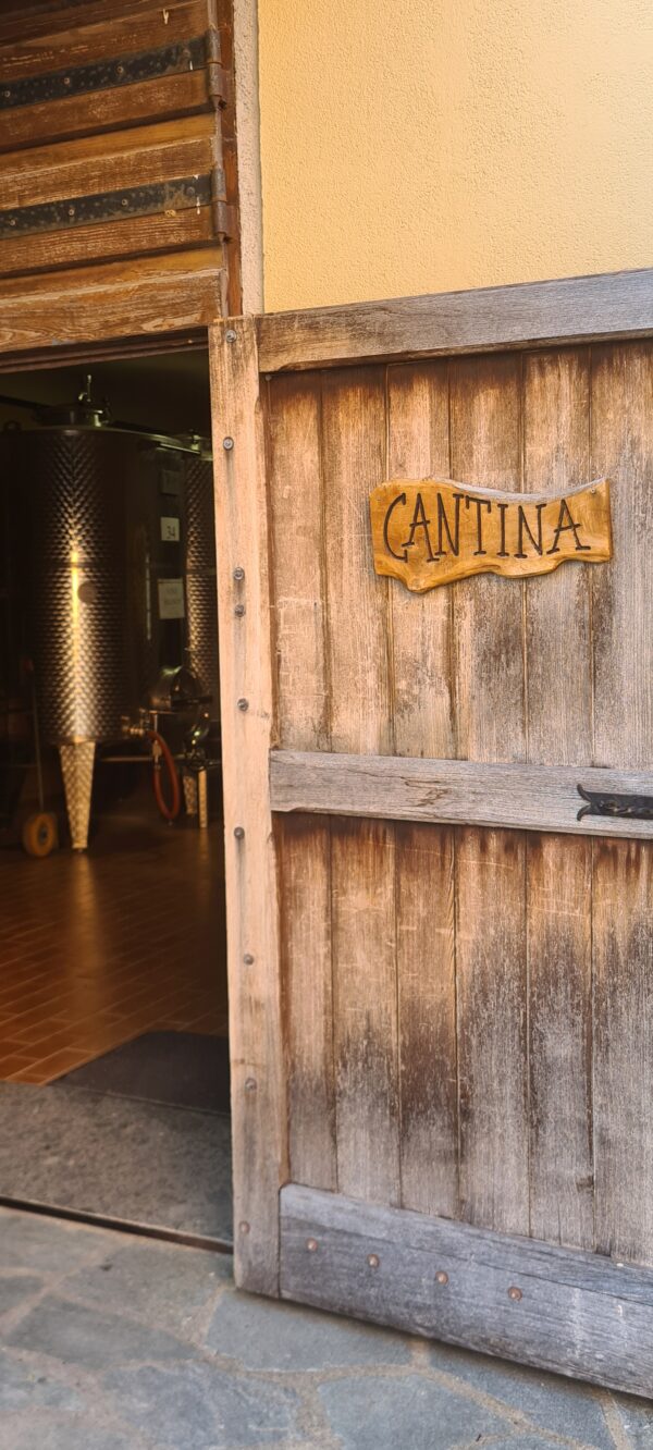 6-daagse Paardentocht Natuurreservaat en Strand van Punta Ala Toscane - Italië