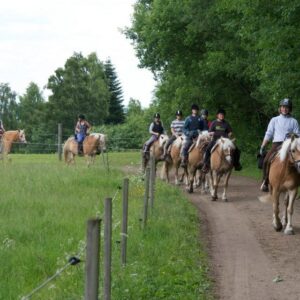 2-daagse Paardrijtocht Deluxe Paardenweekend Söderåsen - Zweden - Afbeelding 3