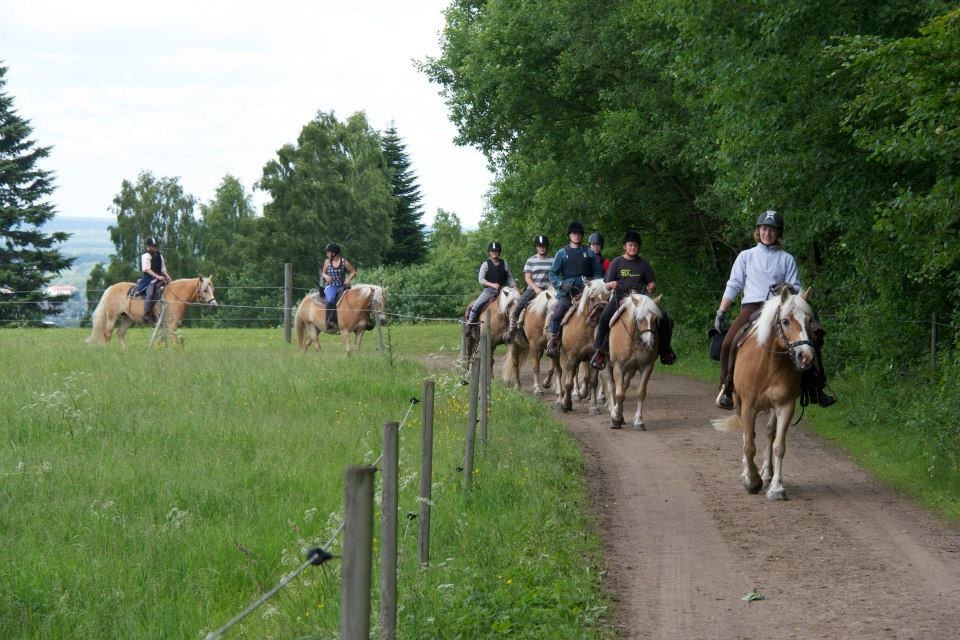 2-daagse Paardrijtocht Deluxe Paardenweekend Söderåsen - Zweden - Afbeelding 3