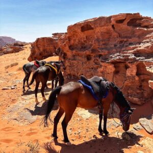 10-daagse paardrijtocht Van de Roze Stad naar de Vallei van de Maan - Jordanië - Afbeelding 20