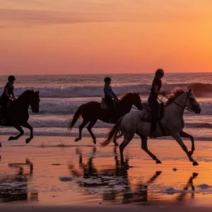 3-daagse paardrijtocht Nationaal Park Doñana Andalusië - Spanje