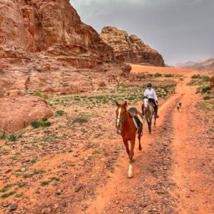 Dagrit Wadi Rum - Jordanië - Afbeelding 11