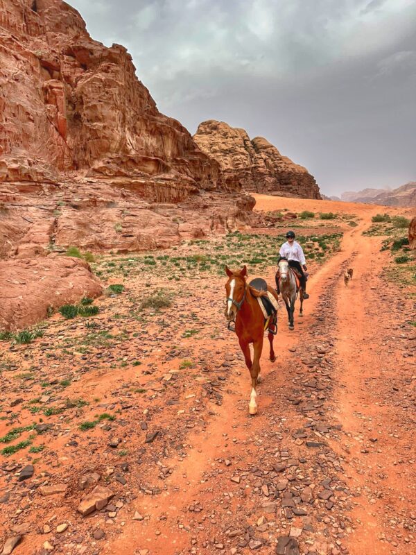 Dagrit Wadi Rum - Jordanië