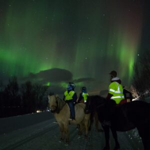 Buitenrit onder het noorderlicht (evt. met overnachting) bij Tromsø - Noorwegen - Afbeelding 5