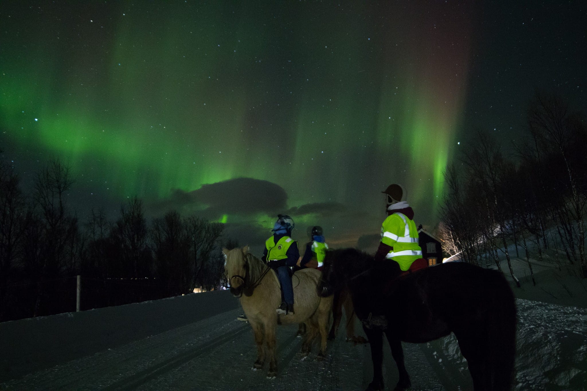 Buitenrit onder het noorderlicht (evt. met overnachting) bij Tromsø - Noorwegen