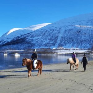Buitenrit (evt. met overnachting) in Tromsø - Noorwegen - Afbeelding 8
