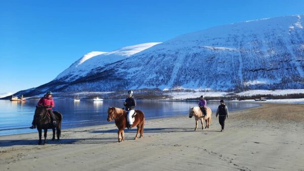 Buitenrit (evt. met overnachting) in Tromsø - Noorwegen