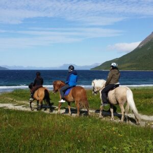 Buitenrit (evt. met overnachting) in Tromsø - Noorwegen - Afbeelding 7