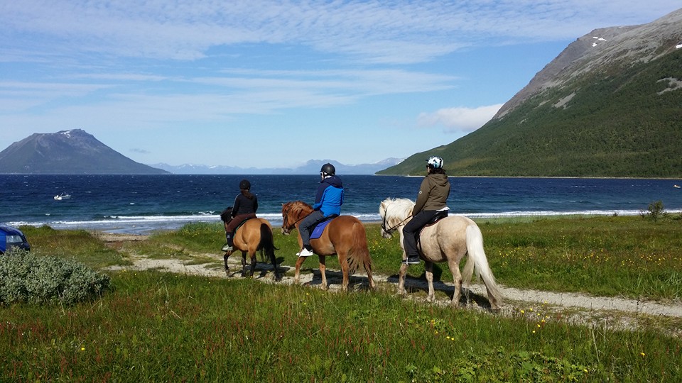 Buitenrit (evt. met overnachting) in Tromsø - Noorwegen - Afbeelding 7