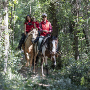 6-daagse Paardentocht Natuurreservaat en Strand van Punta Ala Toscane - Italië - Afbeelding 22
