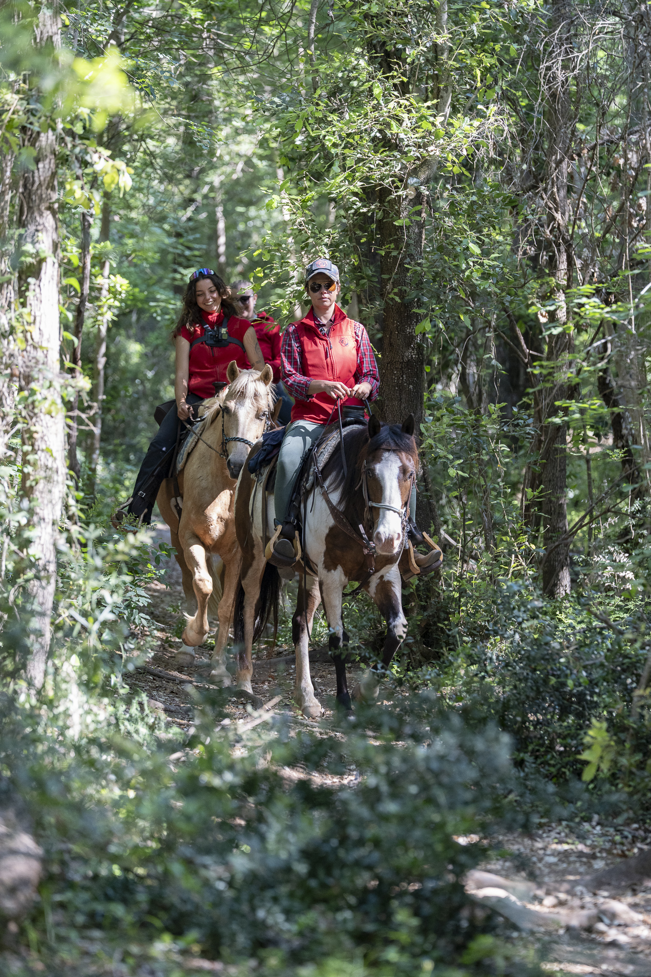 6-daagse Paardentocht Natuurreservaat en Strand van Punta Ala Toscane - Italië