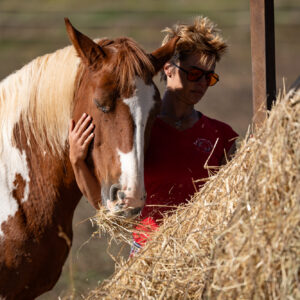 6-daagse Paardentocht Natuurreservaat en Strand van Punta Ala Toscane - Italië - Afbeelding 23