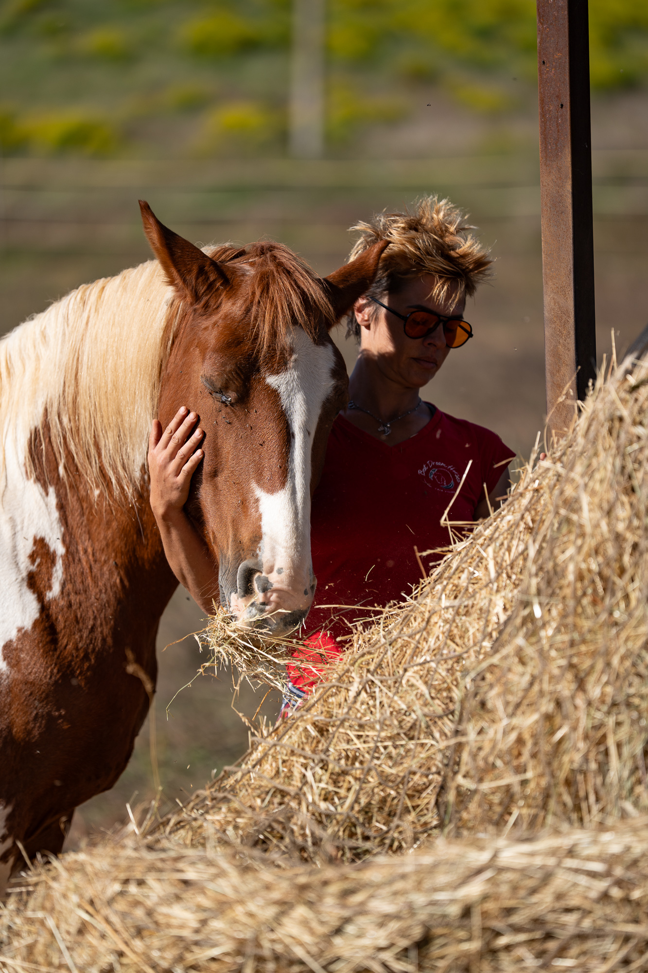 6-daagse Paardentocht Natuurreservaat en Strand van Punta Ala Toscane - Italië