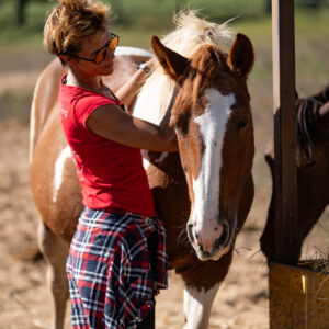 4-daagse Paardentocht Cala Violina & Strand van Punta Ala Toscane - Italië - Afbeelding 5