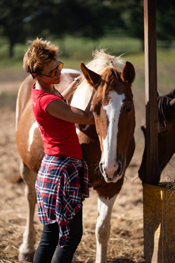 4-daagse Paardentocht Cala Violina & Strand van Punta Ala Toscane - Italië
