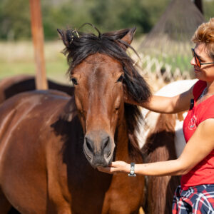 6-daagse Paardentocht Natuurreservaat en Strand van Punta Ala Toscane - Italië - Afbeelding 3