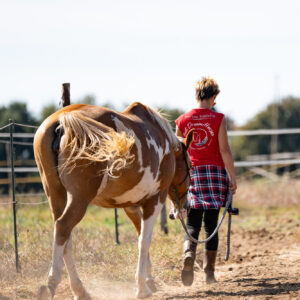 4-daagse Paardentocht Cala Violina & Strand van Punta Ala Toscane - Italië - Afbeelding 8