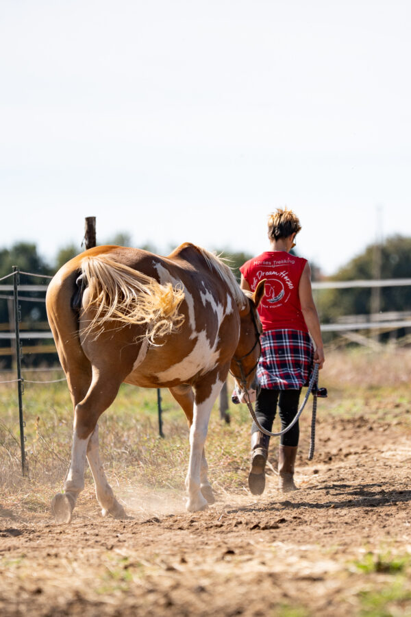 4-daagse Paardentocht Cala Violina & Strand van Punta Ala Toscane - Italië