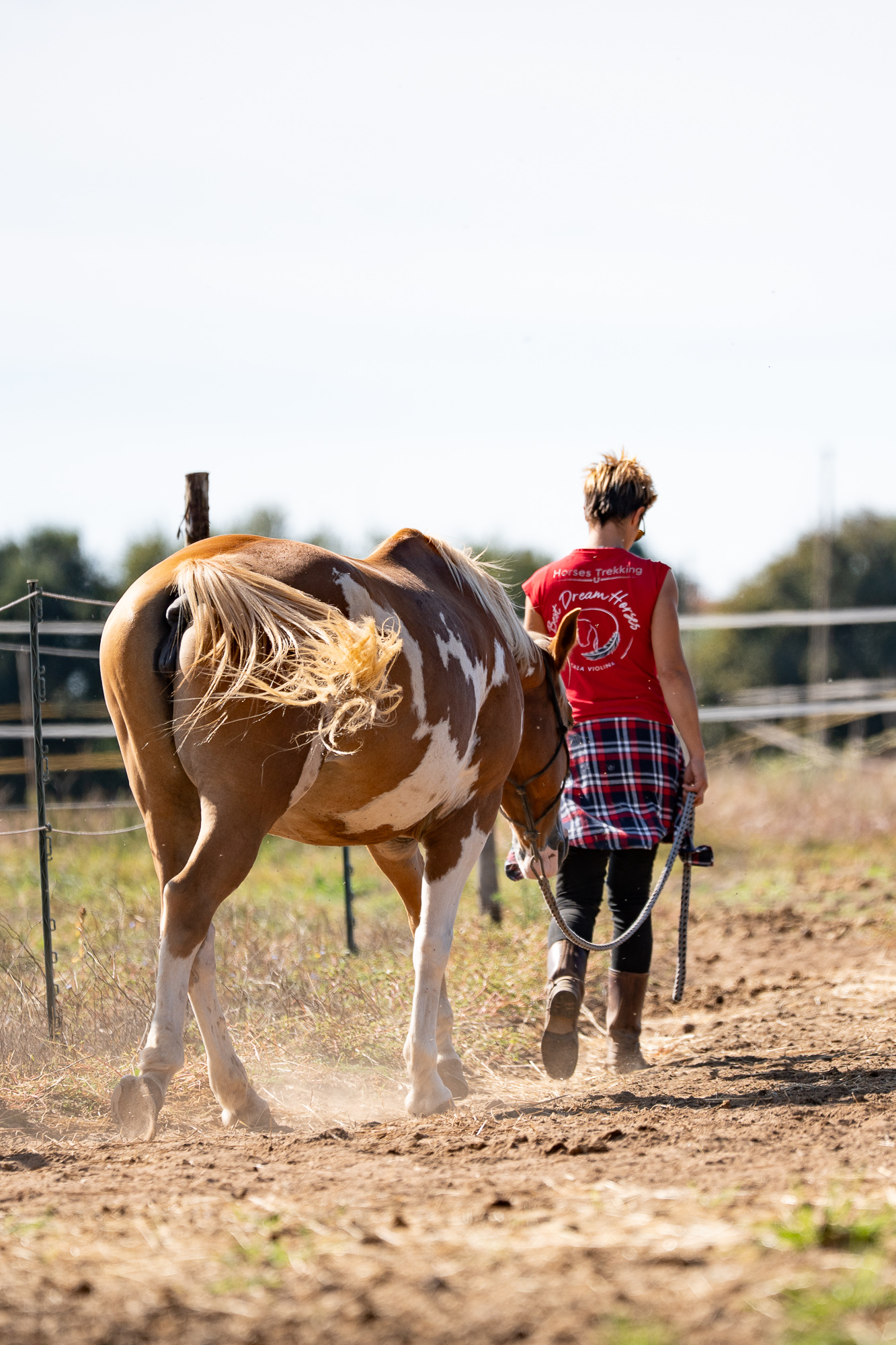 4-daagse Paardentocht Cala Violina & Strand van Punta Ala Toscane - Italië - Afbeelding 8