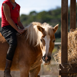 4-daagse Paardentocht Cala Violina & Strand van Punta Ala Toscane - Italië - Afbeelding 24