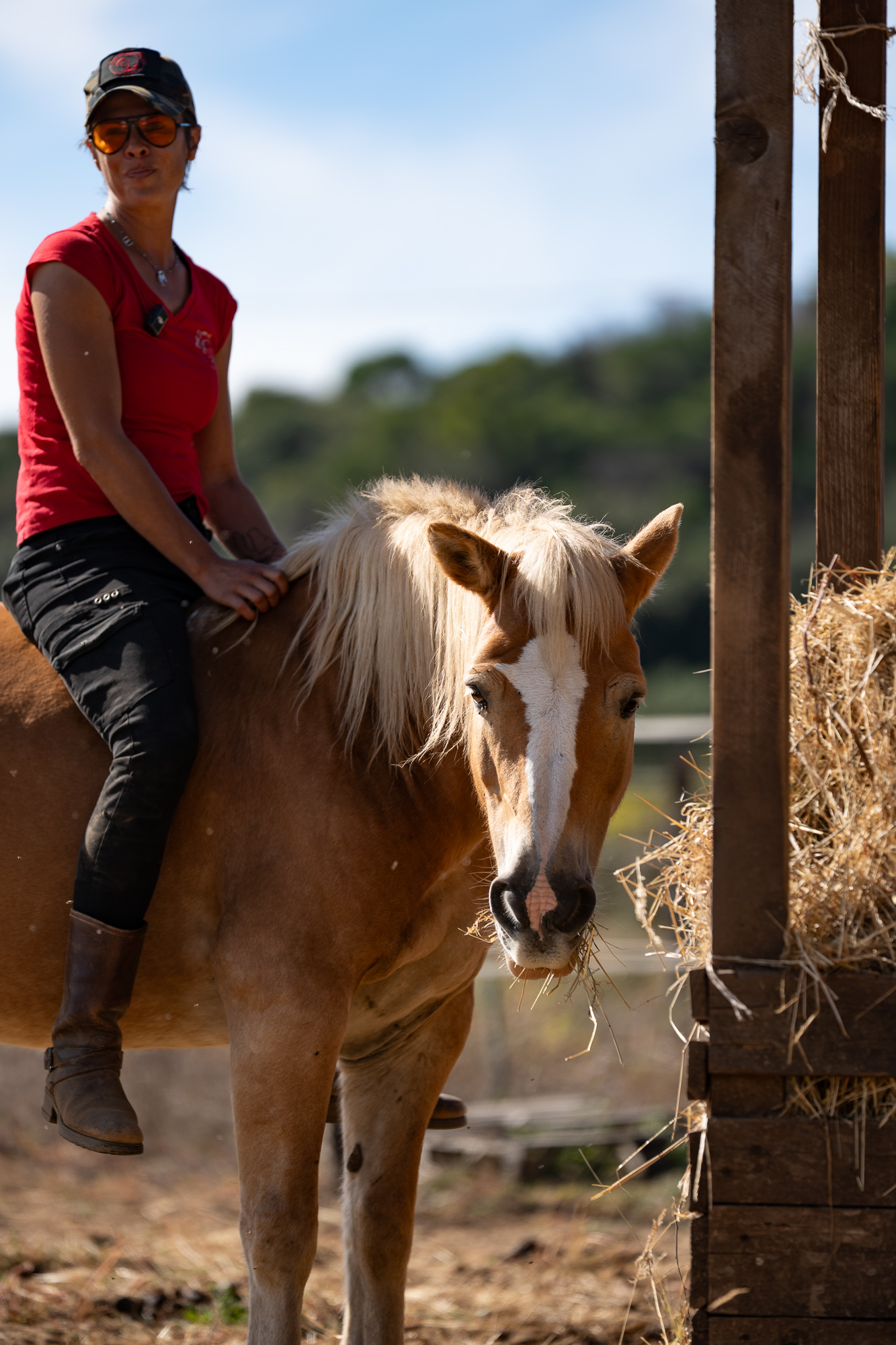 4-daagse Paardentocht Cala Violina & Strand van Punta Ala Toscane - Italië