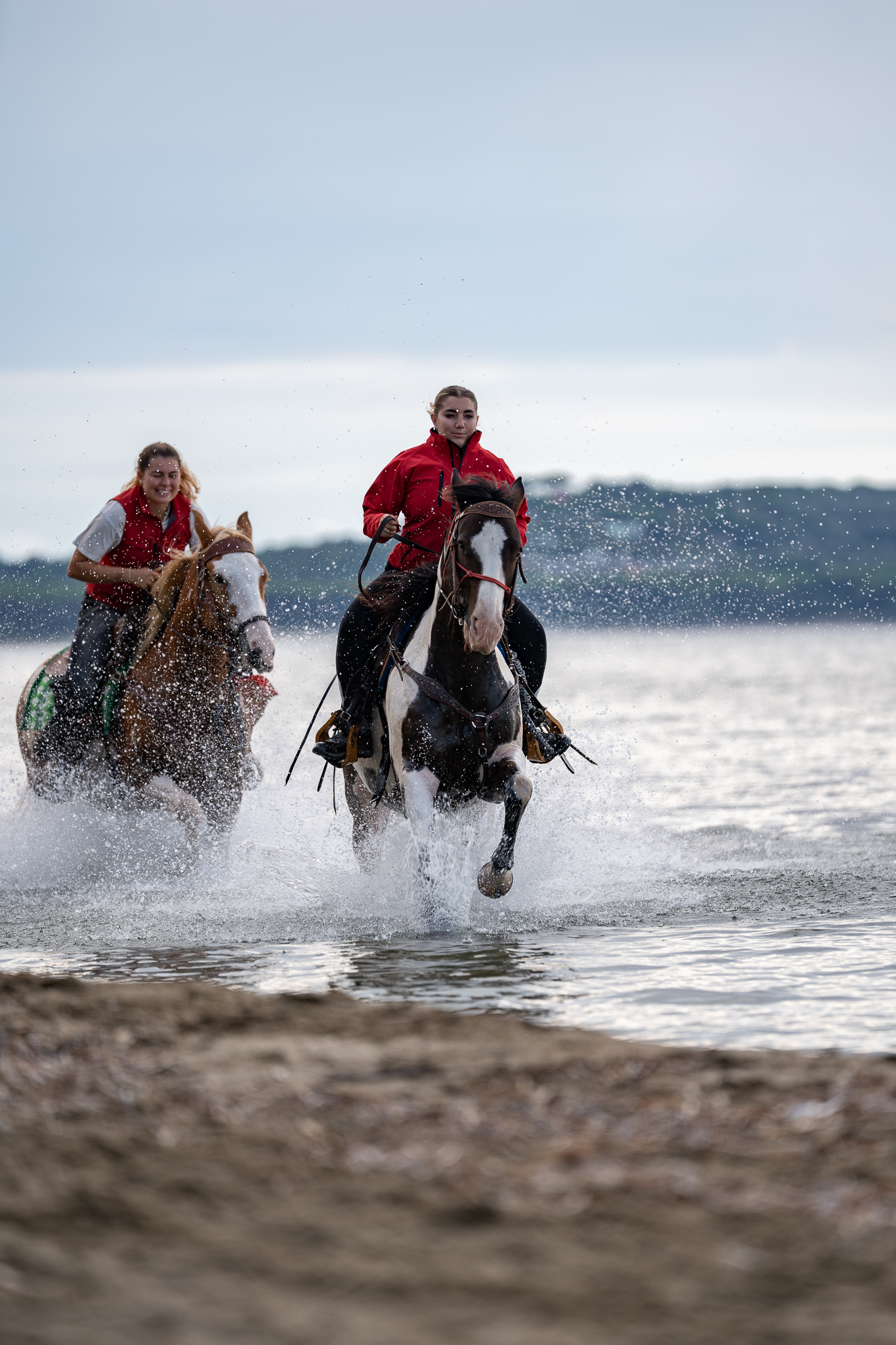 4-daagse Paardentocht Cala Violina & Strand van Punta Ala Toscane - Italië - Afbeelding 9