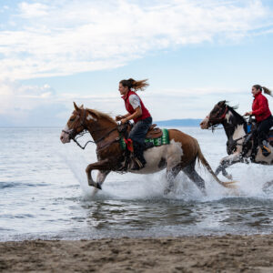 6-daagse Paardentocht Natuurreservaat en Strand van Punta Ala Toscane - Italië - Afbeelding 7