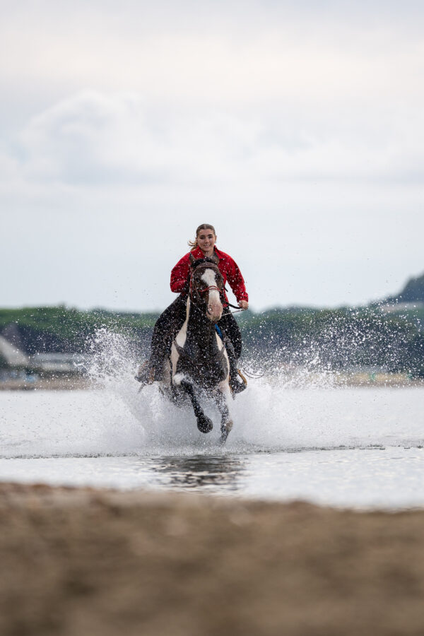 4-daagse Paardentocht Cala Violina & Strand van Punta Ala Toscane - Italië