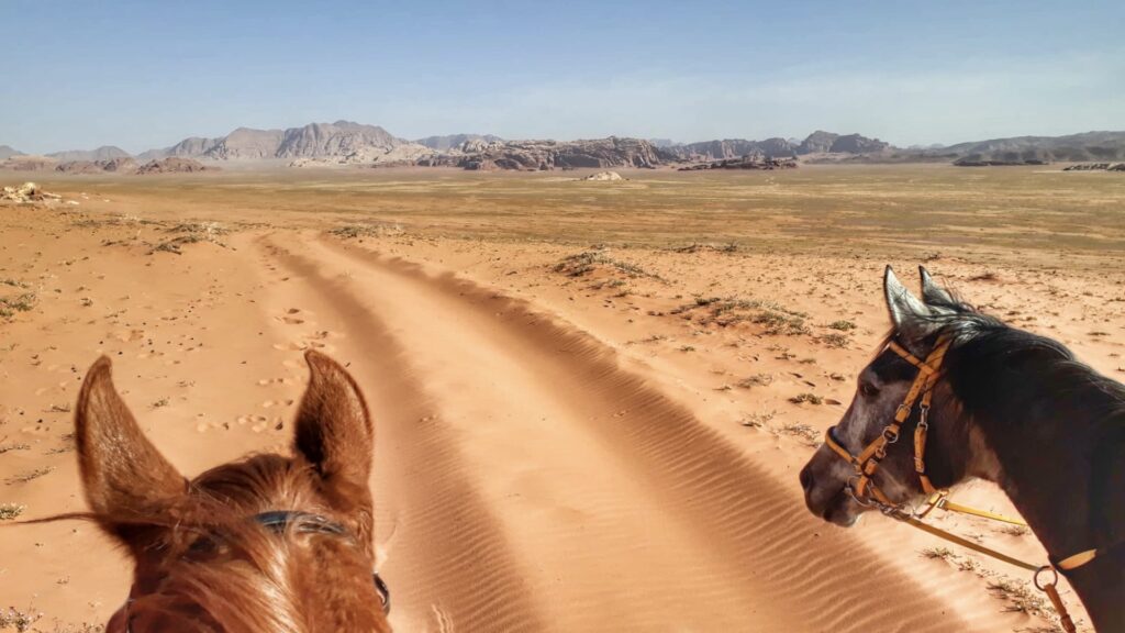 Dagrit Wadi Rum - Jordanië