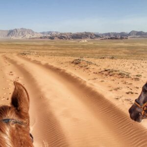 Dagrit Wadi Rum - Jordanië - Afbeelding 10
