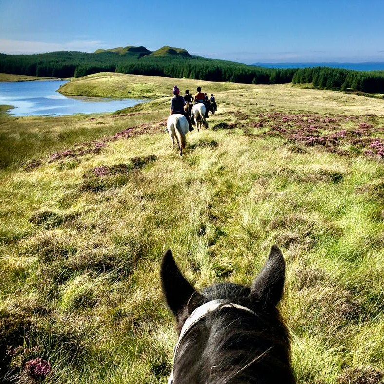 4-daagse Paardrijtocht door de wildernis - Schotland - Afbeelding 9
