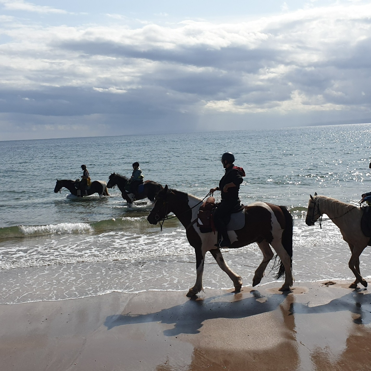7-daagse Paardrijtocht Dwars door Kintyre - Schotland - Afbeelding 10
