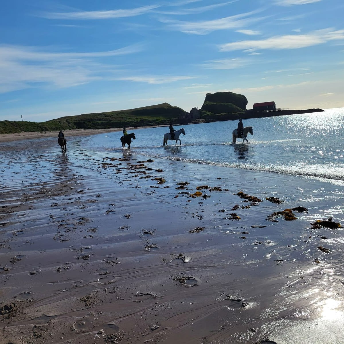 4-daagse Paardrijtocht door de wildernis - Schotland - Afbeelding 8